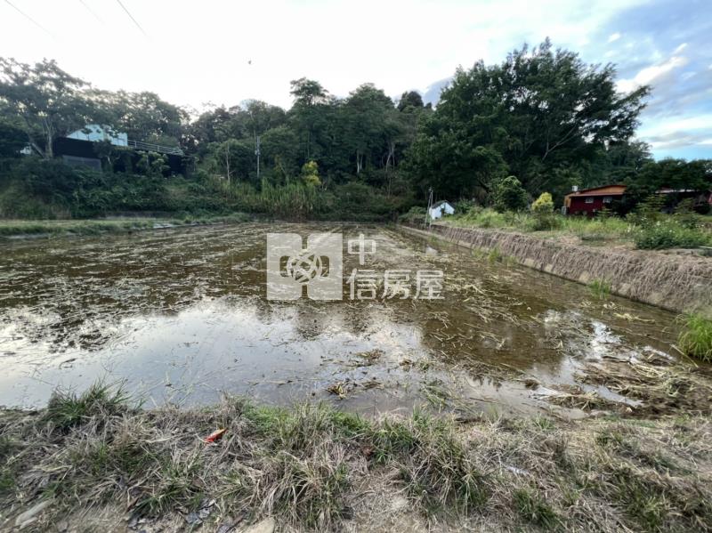 水流東筊白筍田房屋室內格局與周邊環境