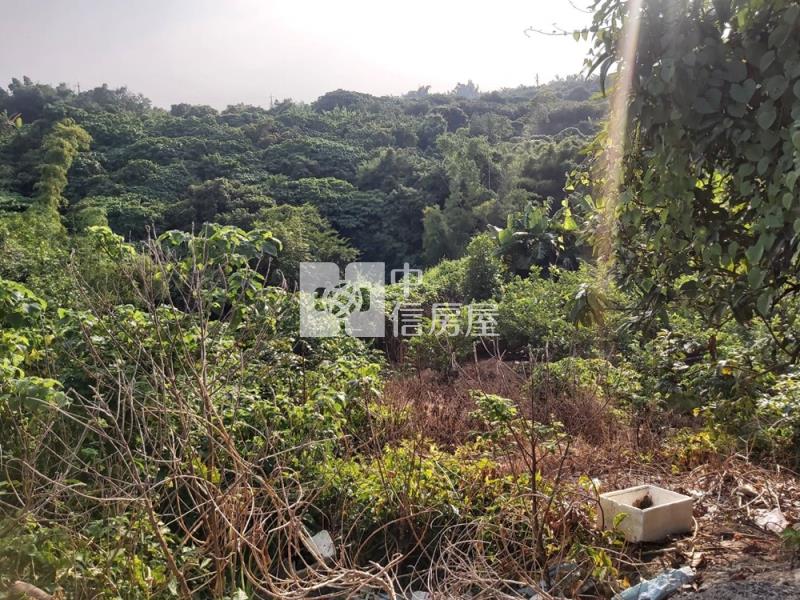 玉井芒子芒丙建房屋室內格局與周邊環境