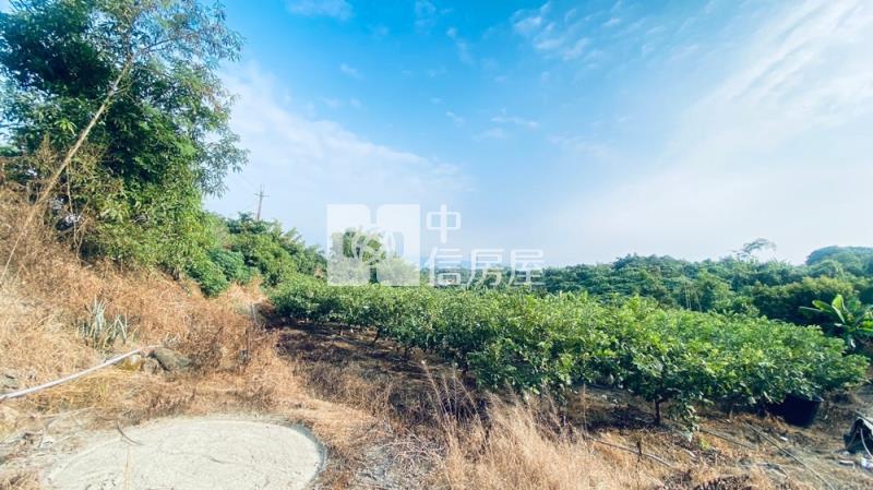 玉井芒子芒丙建房屋室內格局與周邊環境