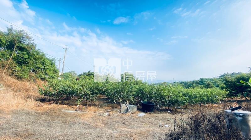 玉井芒子芒丙建房屋室內格局與周邊環境