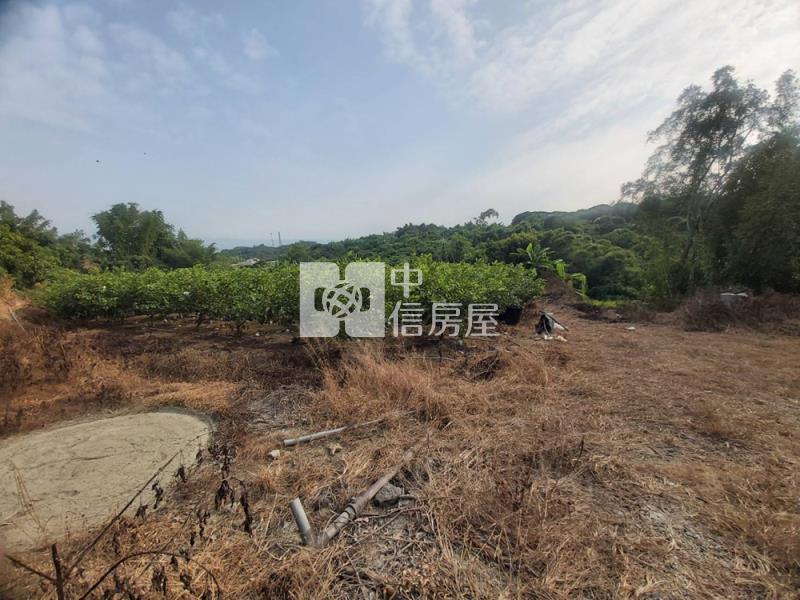 玉井芒子芒丙建房屋室內格局與周邊環境