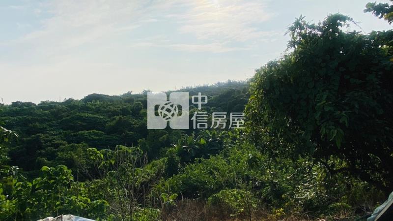 玉井芒子芒丙建房屋室內格局與周邊環境