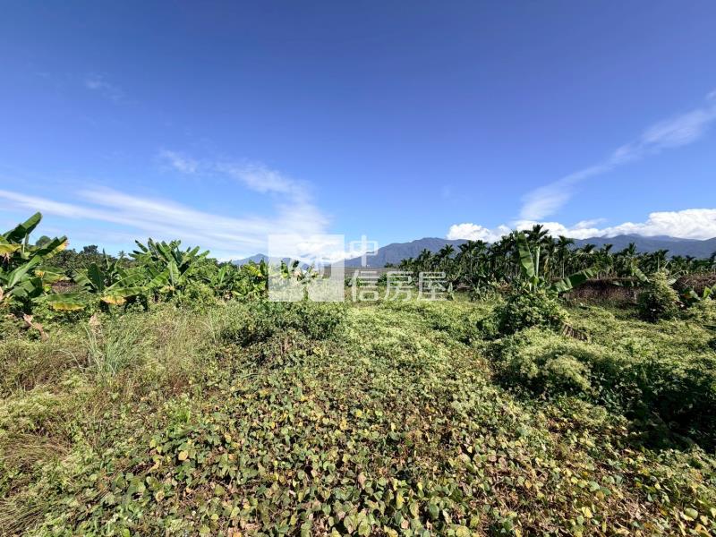 高樹夜市百坪都計農地房屋室內格局與周邊環境