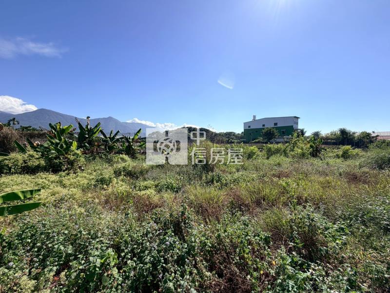 高樹夜市百坪都計農地房屋室內格局與周邊環境