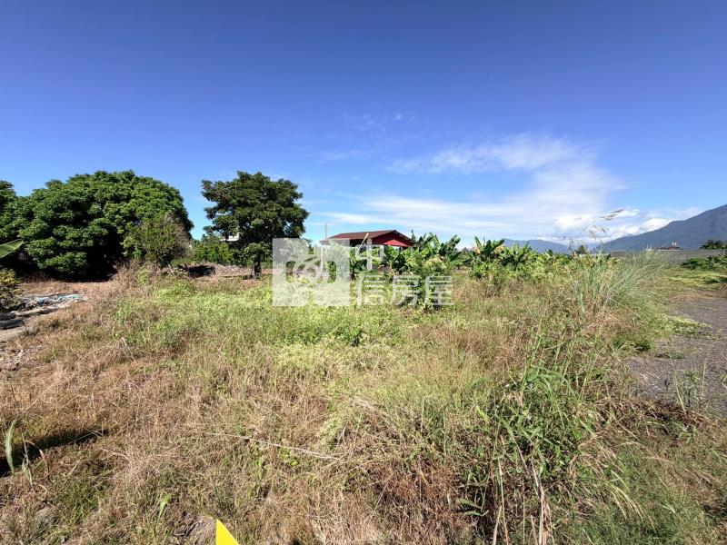 高樹夜市百坪都計農地房屋室內格局與周邊環境