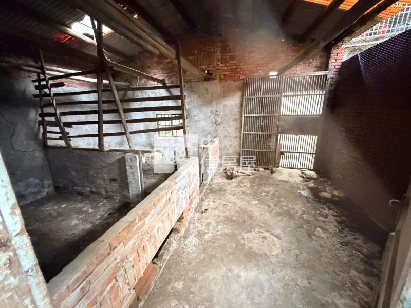 【安家】忠貞國小臨路大地坪透店房屋室內格局與周邊環境