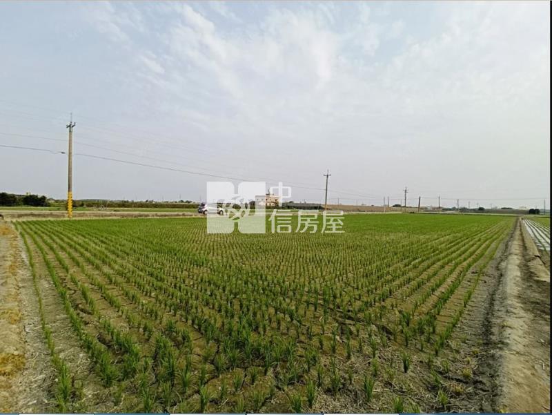 G009城潭正路邊良田房屋室內格局與周邊環境