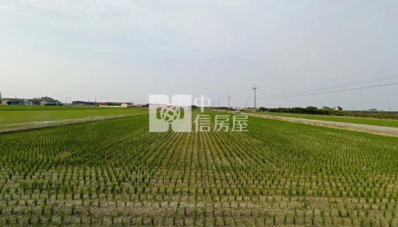 G009城潭正路邊良田房屋室內格局與周邊環境