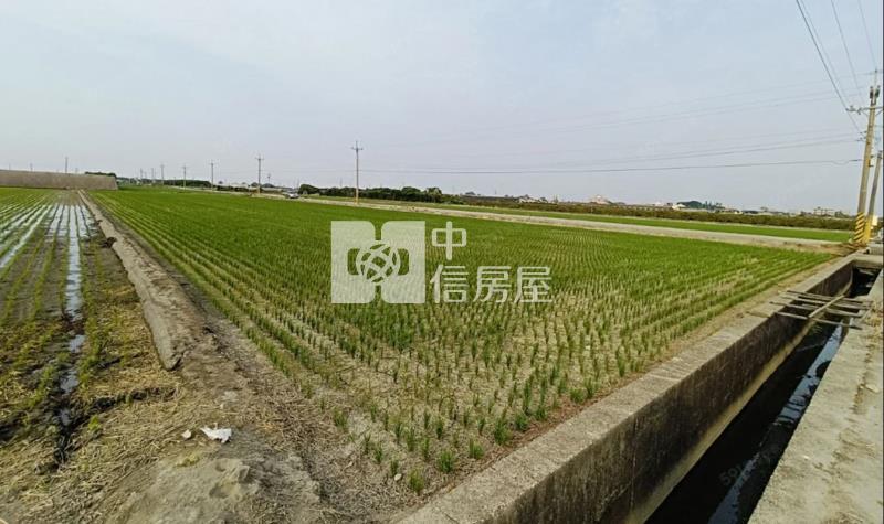 G009城潭正路邊良田房屋室內格局與周邊環境