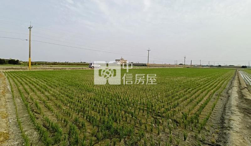 G009城潭正路邊良田房屋室內格局與周邊環境