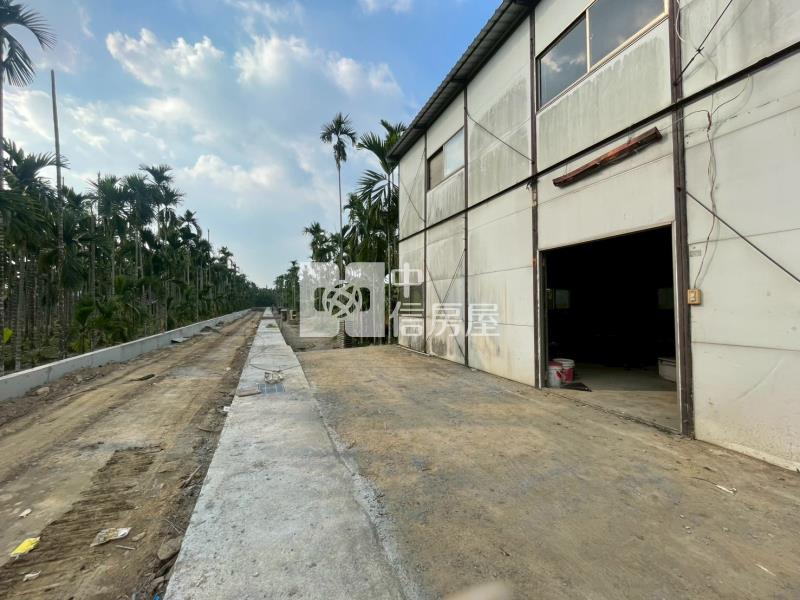 龍泉優質都農房屋室內格局與周邊環境