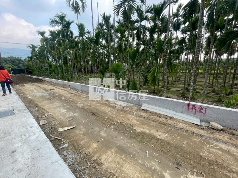 龍泉優質都農房屋室內格局與周邊環境