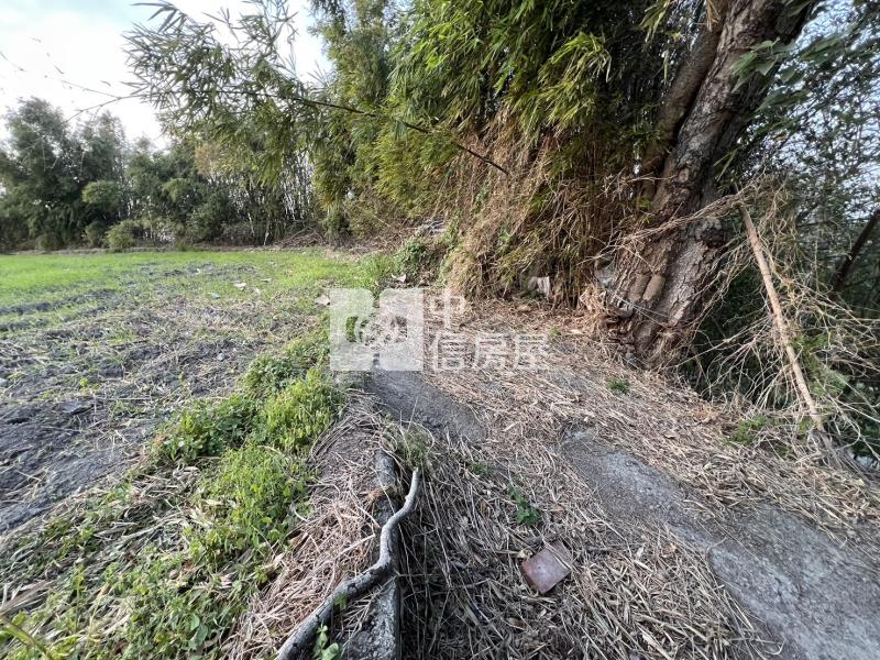 外埔長生路旁便宜農牧用地房屋室內格局與周邊環境