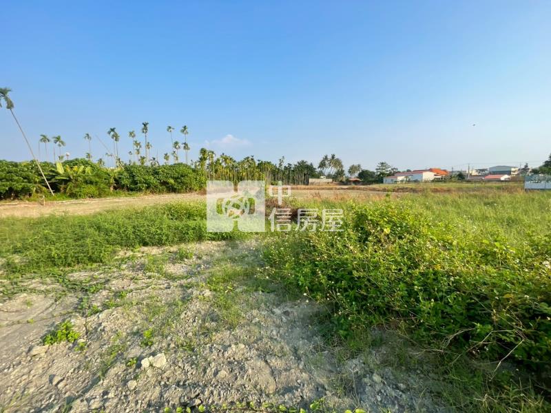 新埤漂亮都農房屋室內格局與周邊環境