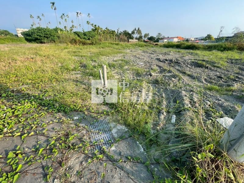 新埤漂亮都農房屋室內格局與周邊環境