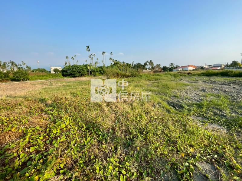 新埤漂亮都農房屋室內格局與周邊環境