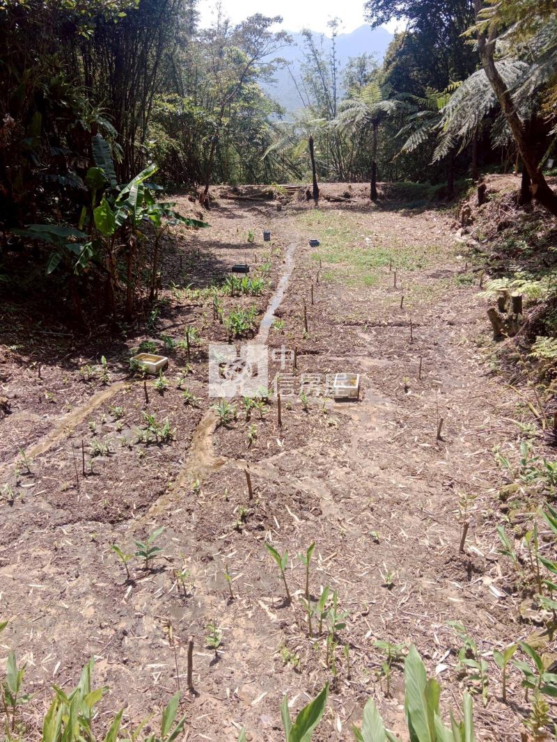 大溪百吉都計農C房屋室內格局與周邊環境