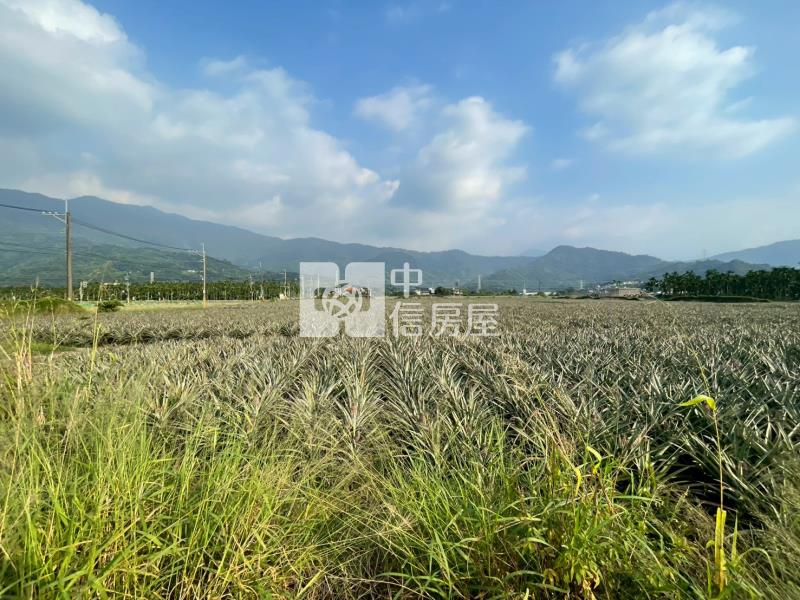 萬巒大馬路面寬農地房屋室內格局與周邊環境