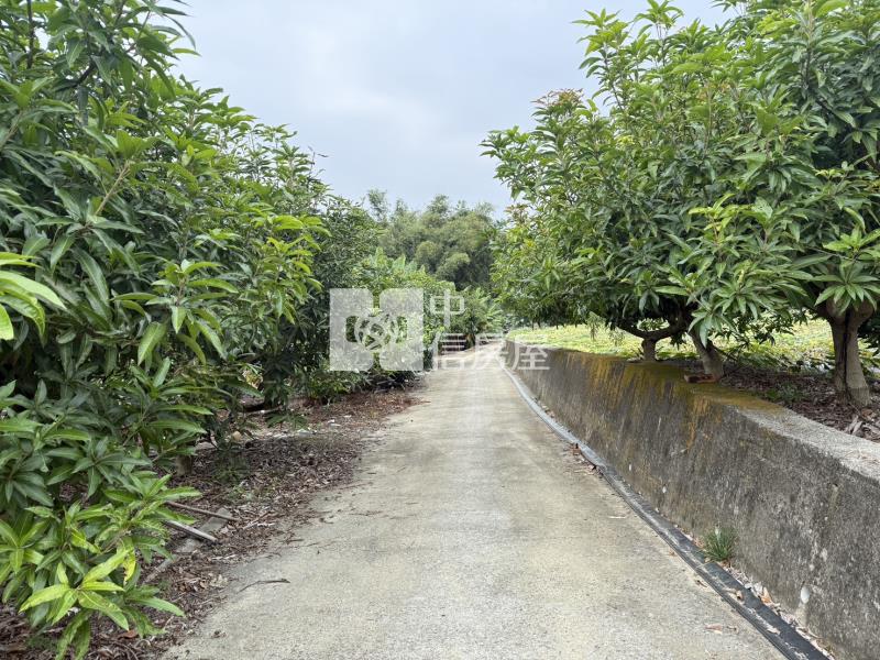 山上牛稠埔持分農地(Ⅰ)房屋室內格局與周邊環境