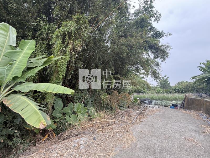 山上牛稠埔持分農地(Ⅰ)房屋室內格局與周邊環境