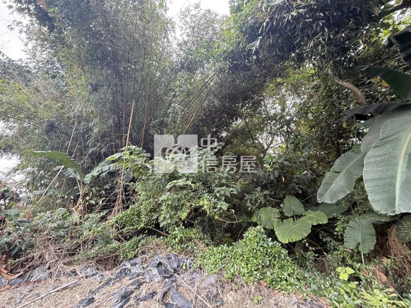 山上牛稠埔持分農地(Ⅰ)房屋室內格局與周邊環境