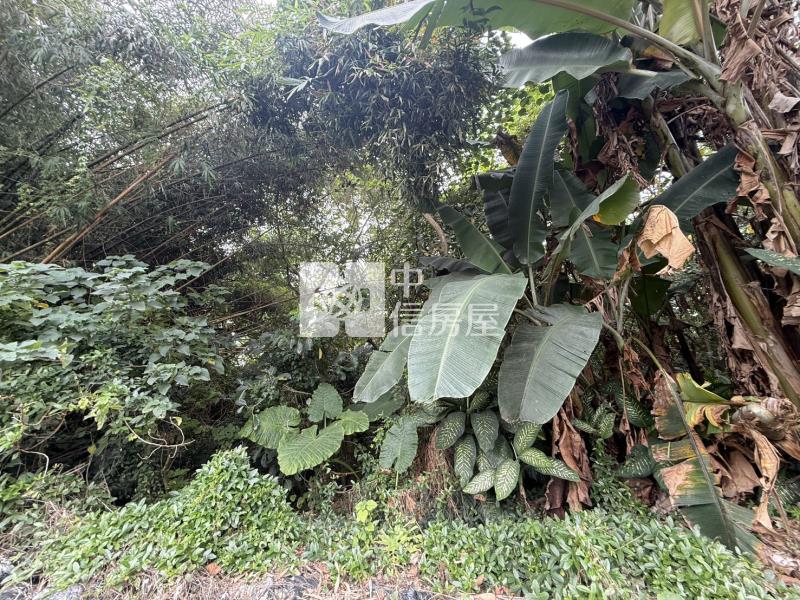 山上牛稠埔持分農地(Ⅰ)房屋室內格局與周邊環境