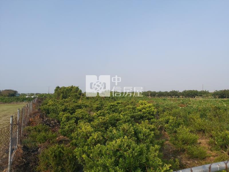 佳里近大全聯小資農地房屋室內格局與周邊環境