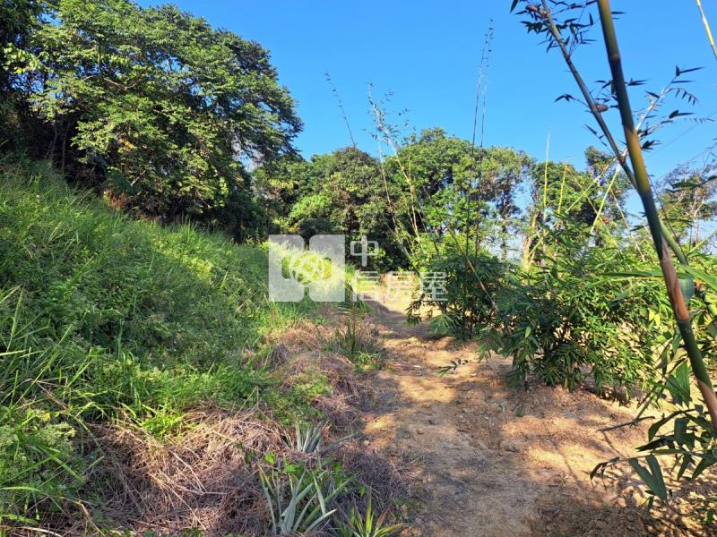 關廟龍崎區公所優美農地房屋室內格局與周邊環境