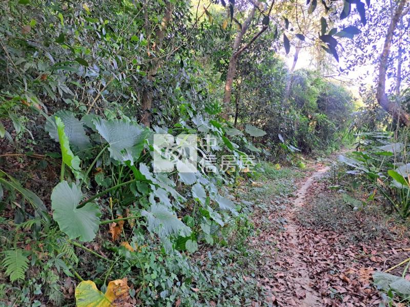 關廟龍崎區公所優美農地房屋室內格局與周邊環境