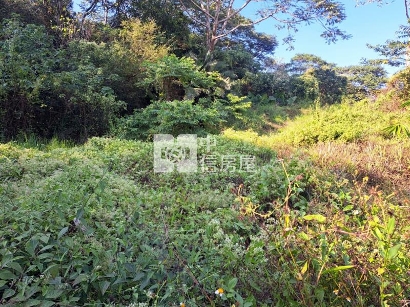 關廟龍崎區公所優美農地房屋室內格局與周邊環境