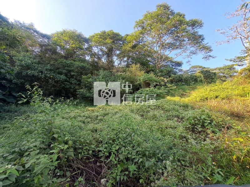 關廟龍崎區公所優美農地房屋室內格局與周邊環境