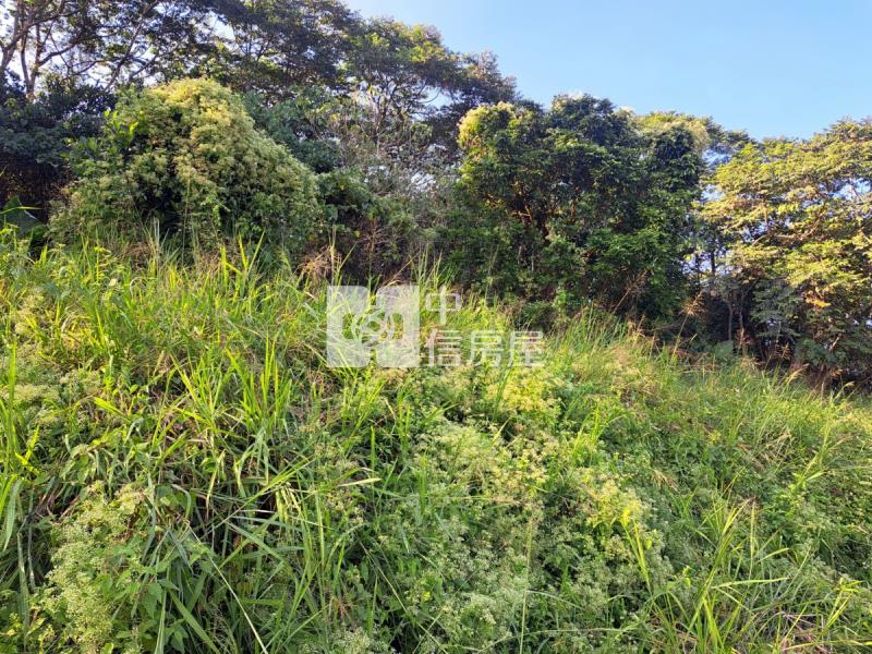 關廟龍崎區公所優美農地房屋室內格局與周邊環境