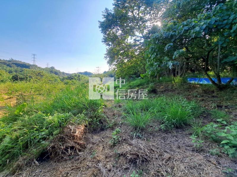 關廟龍崎區公所優美農地房屋室內格局與周邊環境