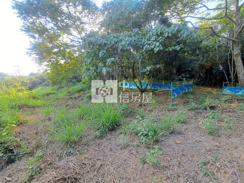 關廟龍崎區公所優美農地房屋室內格局與周邊環境