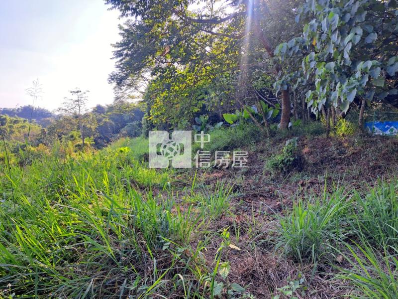 關廟龍崎區公所優美農地房屋室內格局與周邊環境