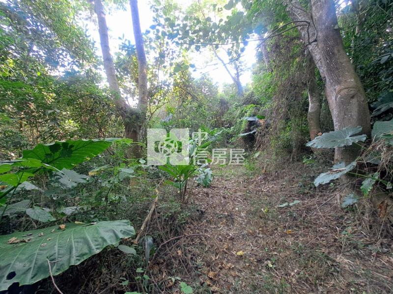 關廟龍崎區公所優美農地房屋室內格局與周邊環境