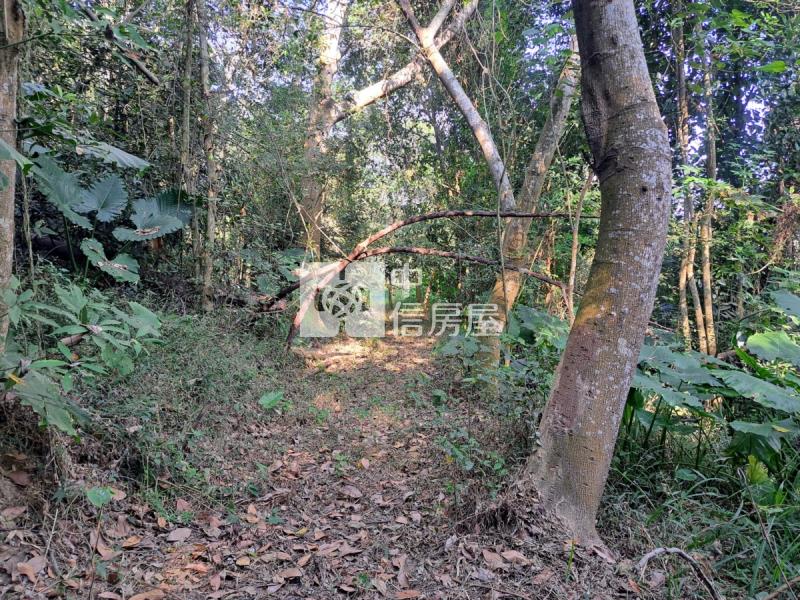 關廟龍崎區公所優美農地房屋室內格局與周邊環境