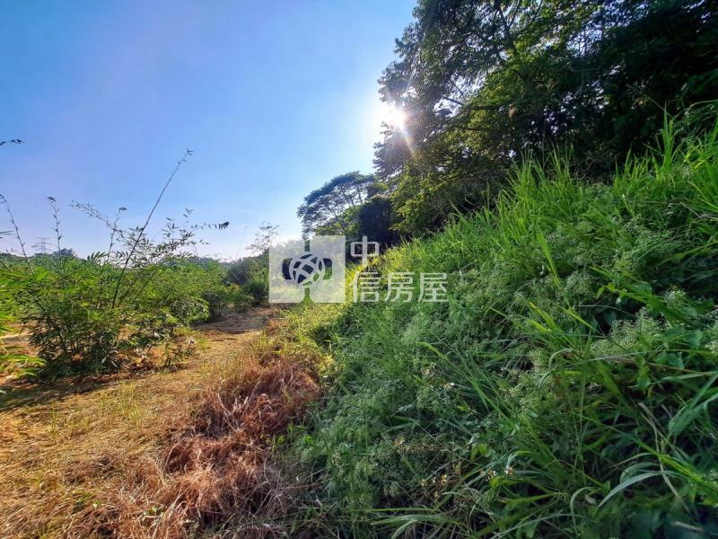 關廟龍崎區公所優美農地房屋室內格局與周邊環境