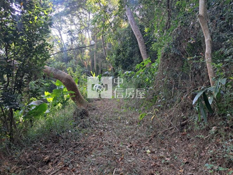 關廟龍崎區公所優美農地房屋室內格局與周邊環境