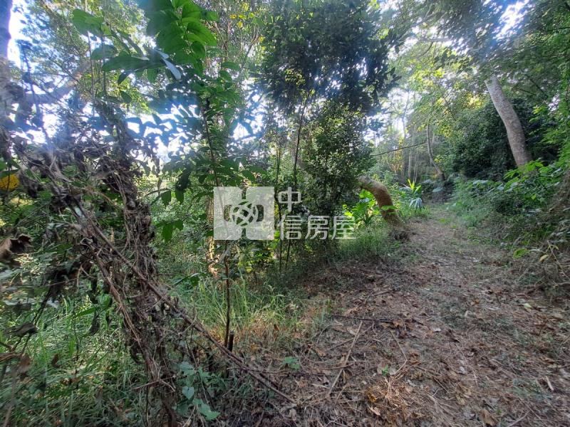 關廟龍崎區公所優美農地房屋室內格局與周邊環境