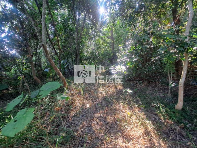 關廟龍崎區公所優美農地房屋室內格局與周邊環境