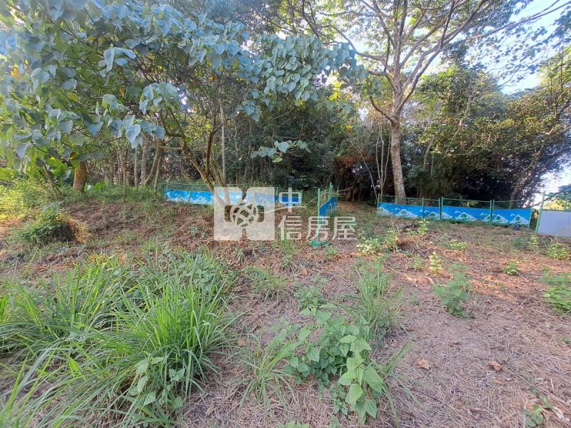 關廟龍崎區公所優美農地房屋室內格局與周邊環境