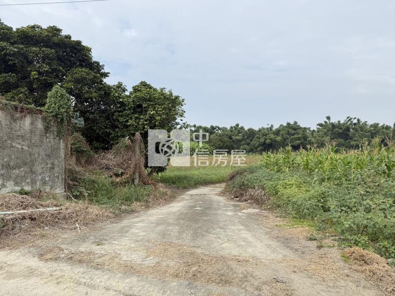 山上牛稠埔持分農地(Ⅲ)房屋室內格局與周邊環境