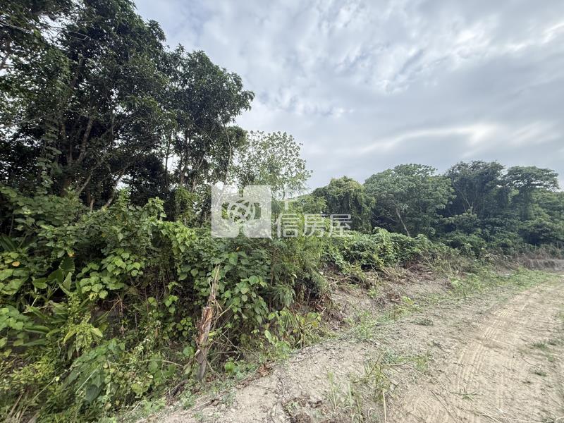 山上牛稠埔持分農地(Ⅲ)房屋室內格局與周邊環境