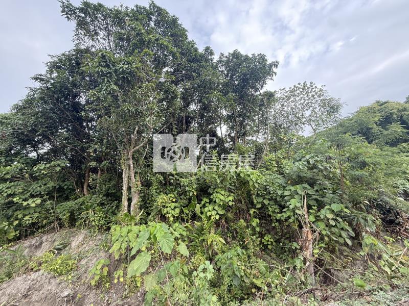 山上牛稠埔持分農地(Ⅲ)房屋室內格局與周邊環境