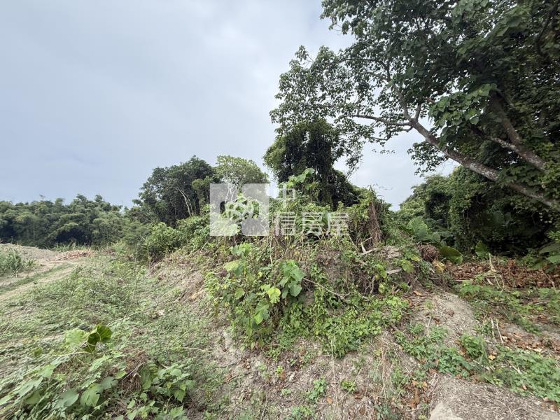 山上牛稠埔持分農地(Ⅲ)房屋室內格局與周邊環境