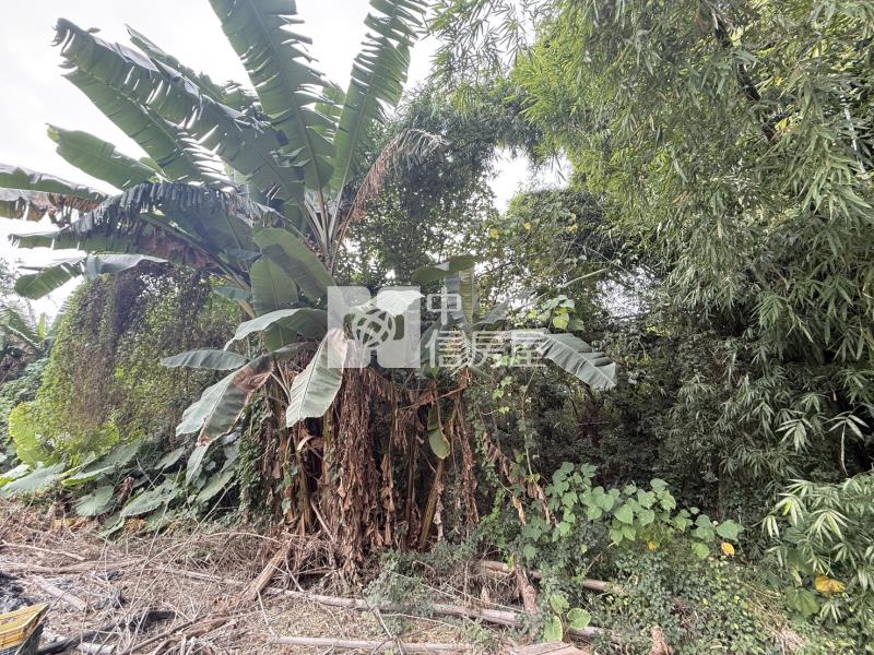 山上牛稠埔持分農地(Ⅲ)房屋室內格局與周邊環境