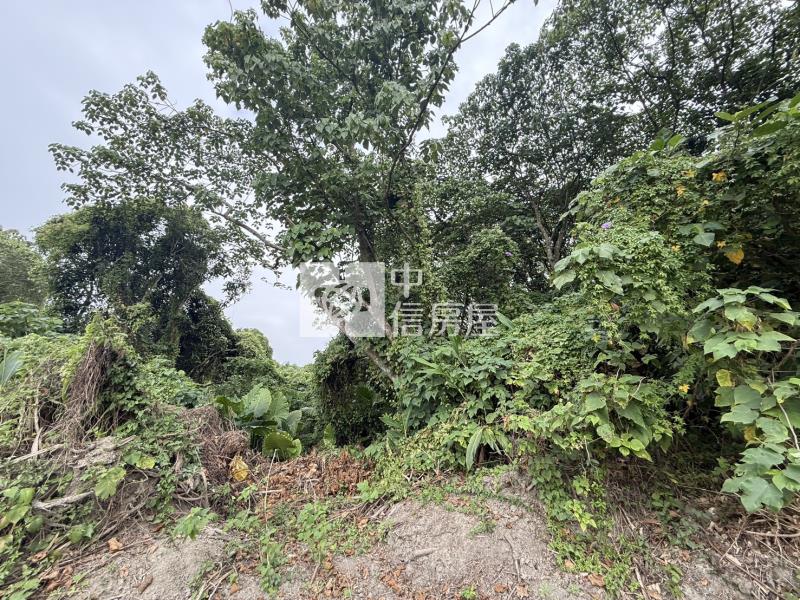 山上牛稠埔持分農地(Ⅲ)房屋室內格局與周邊環境