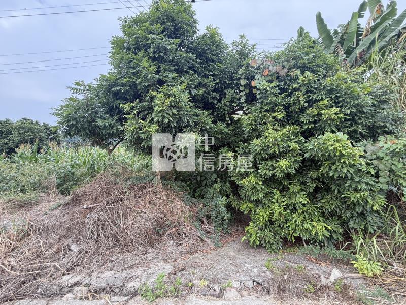 山上牛稠埔持分農地(Ⅲ)房屋室內格局與周邊環境