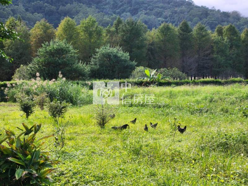 冬山仁山段近植物園足坪大面積農建地房屋室內格局與周邊環境